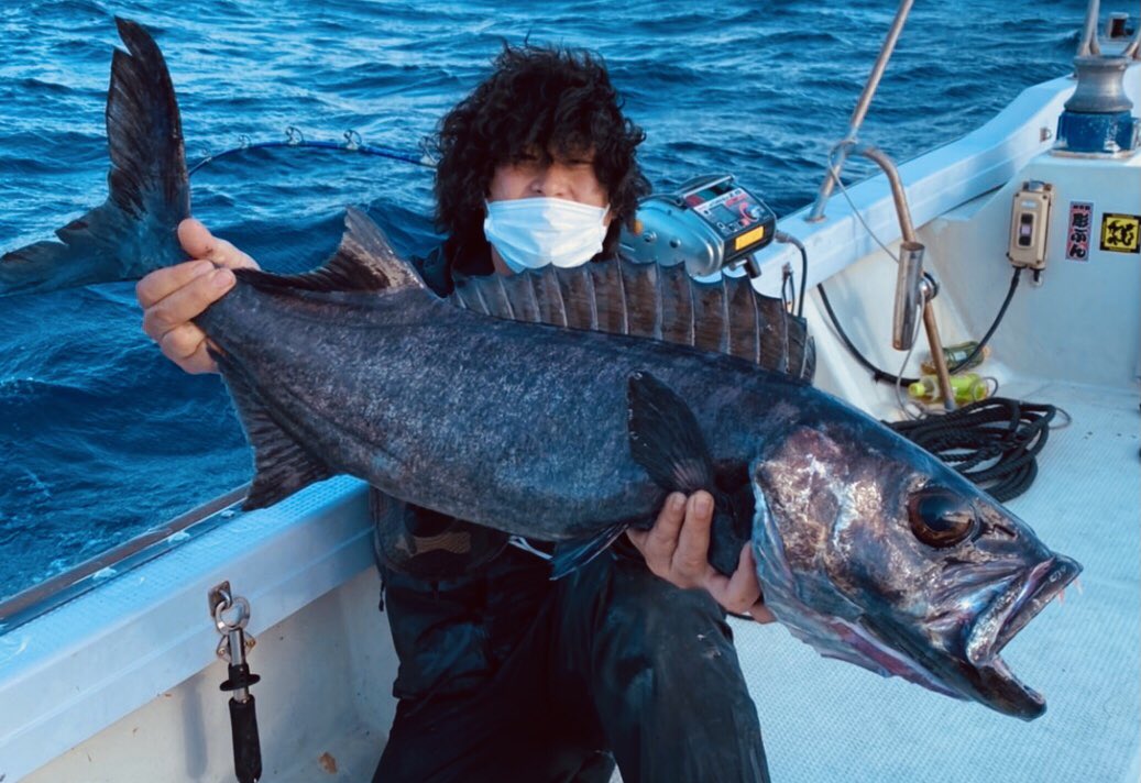 平坂寛 釣って 食べて 調べる 深海魚 たくさんのふしぎ7月号 発売中 Hirahiroro Twitter