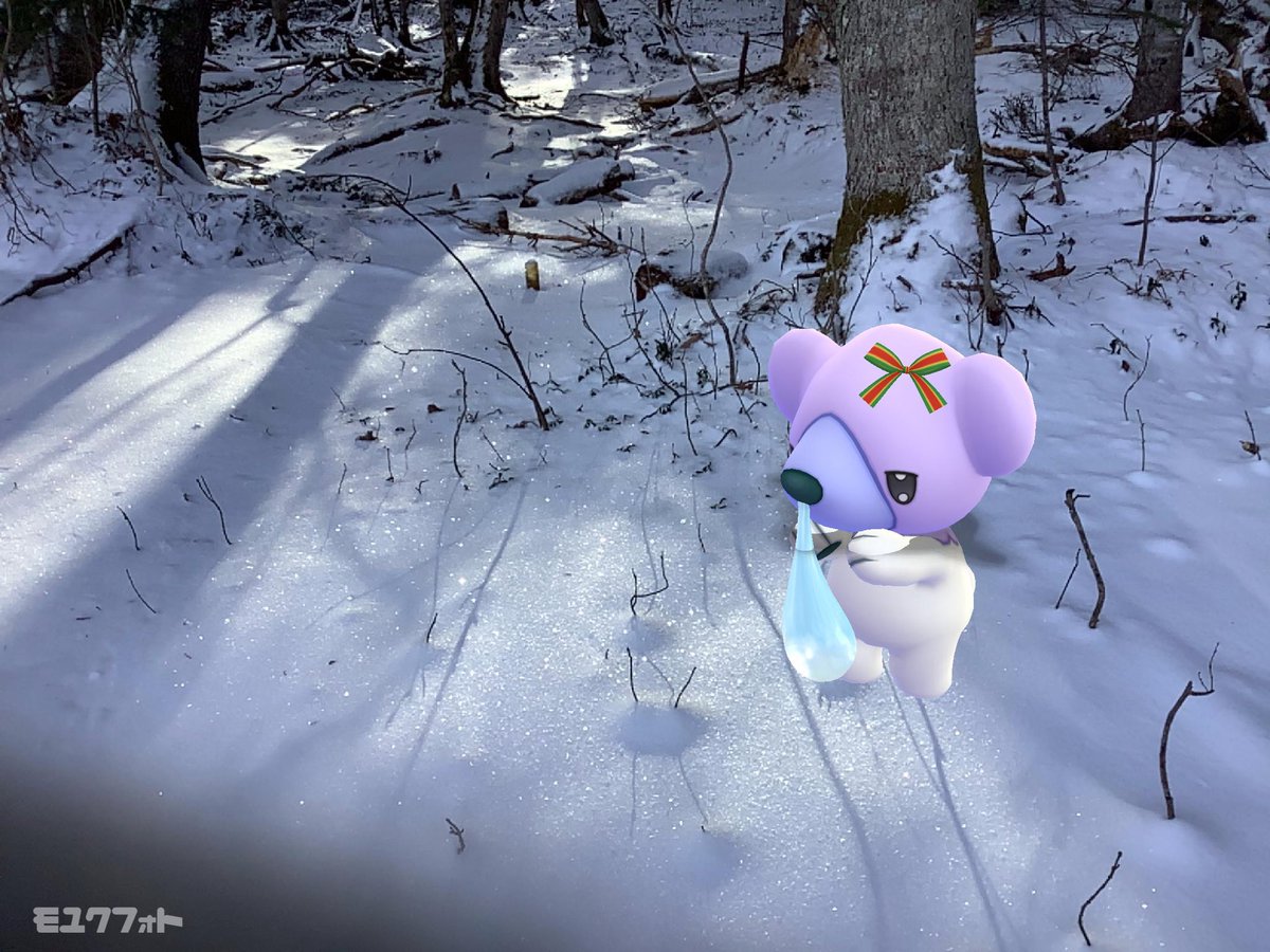 moyuk_mog's tweet photo. 雪の森。寒い。
#GiftWithGO #GOsnapshot #PokemonGO #ポケGOカメラ部 #ポケモンGO #北海道 #好きなようにGOしよう https://t.co/6jYJLx0B8C