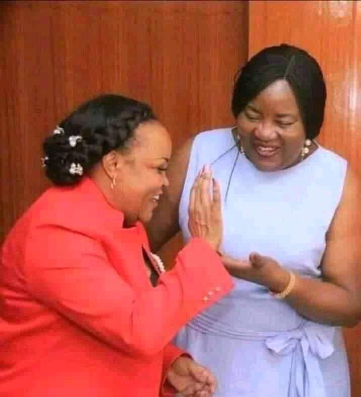 Naomikibandi's tweet photo. Another wheelbarrow down!

Wangui Ngirici https://t.co/gVEwaxURr7