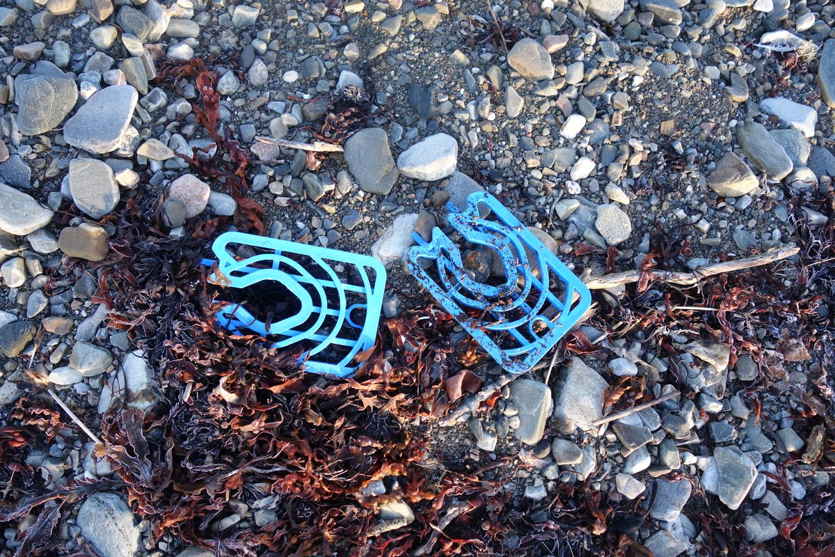 Ailsa McLellan tweet media