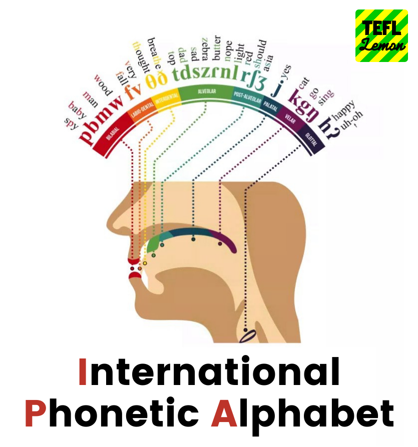 TEFL_Lemon's tweet photo. Adding a full unit on Teaching #Phonology and #Pronunciation to the 180-Hour Higher Certificate in TESOL. Very excited about this improvement to the #tesolcourse
https://t.co/JuLz3U5FU4 https://t.co/tkLXE2zy2X
