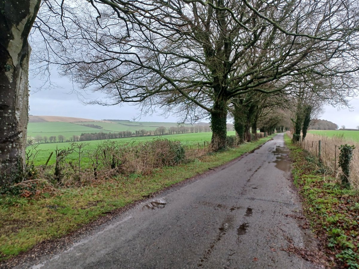 Oldthumper7 tweet media