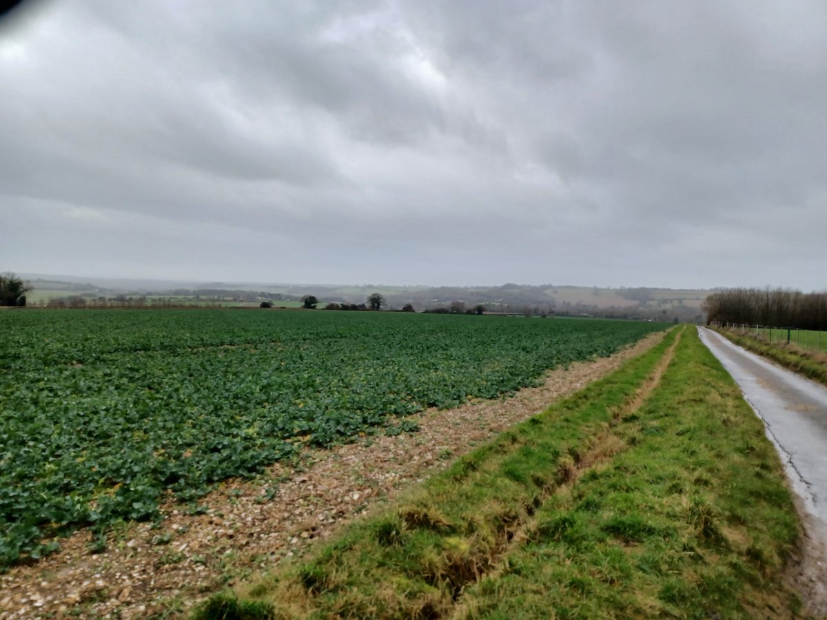 Oldthumper7 tweet media