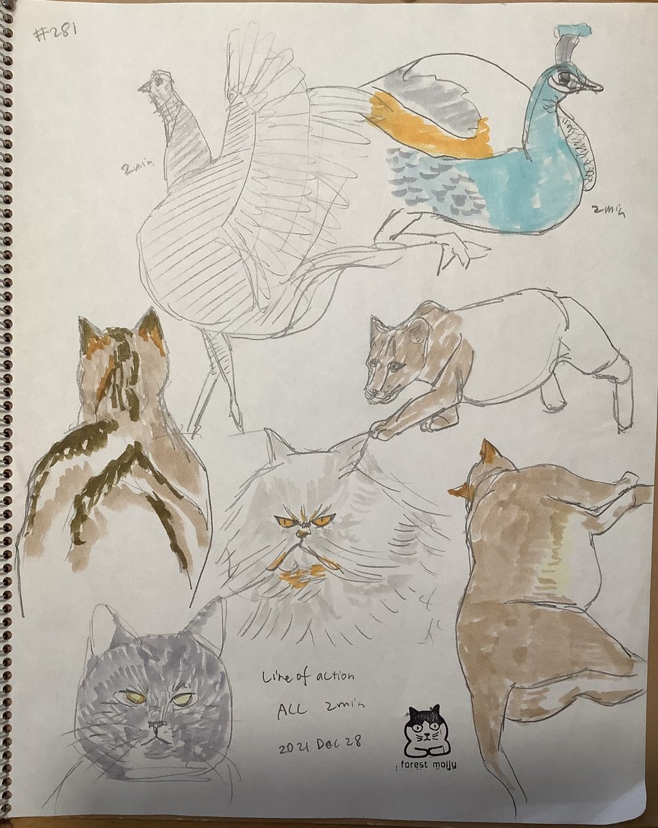 Mollykinoco's tweet image. #lineofaction #croques 281回目。動物2分人物60秒。