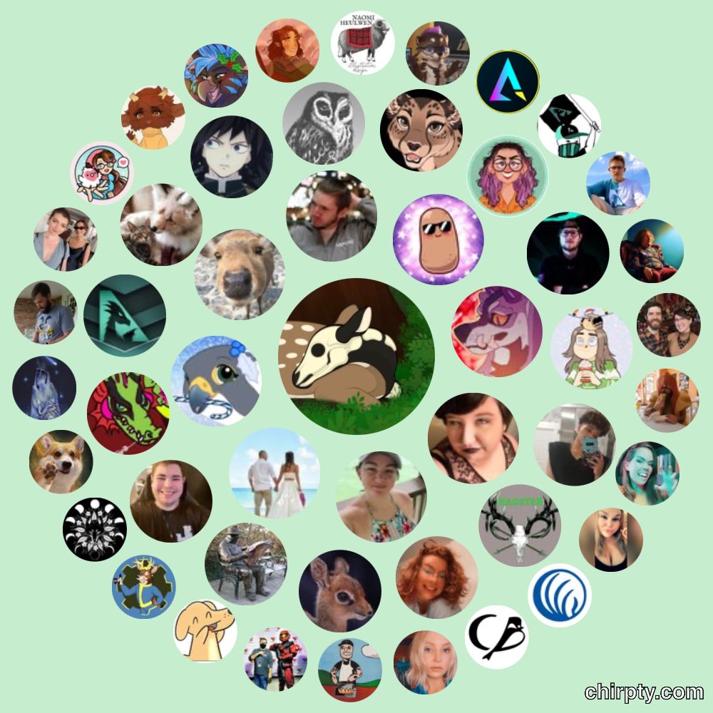 Mandy - 🌿🦌🌿 tweet media