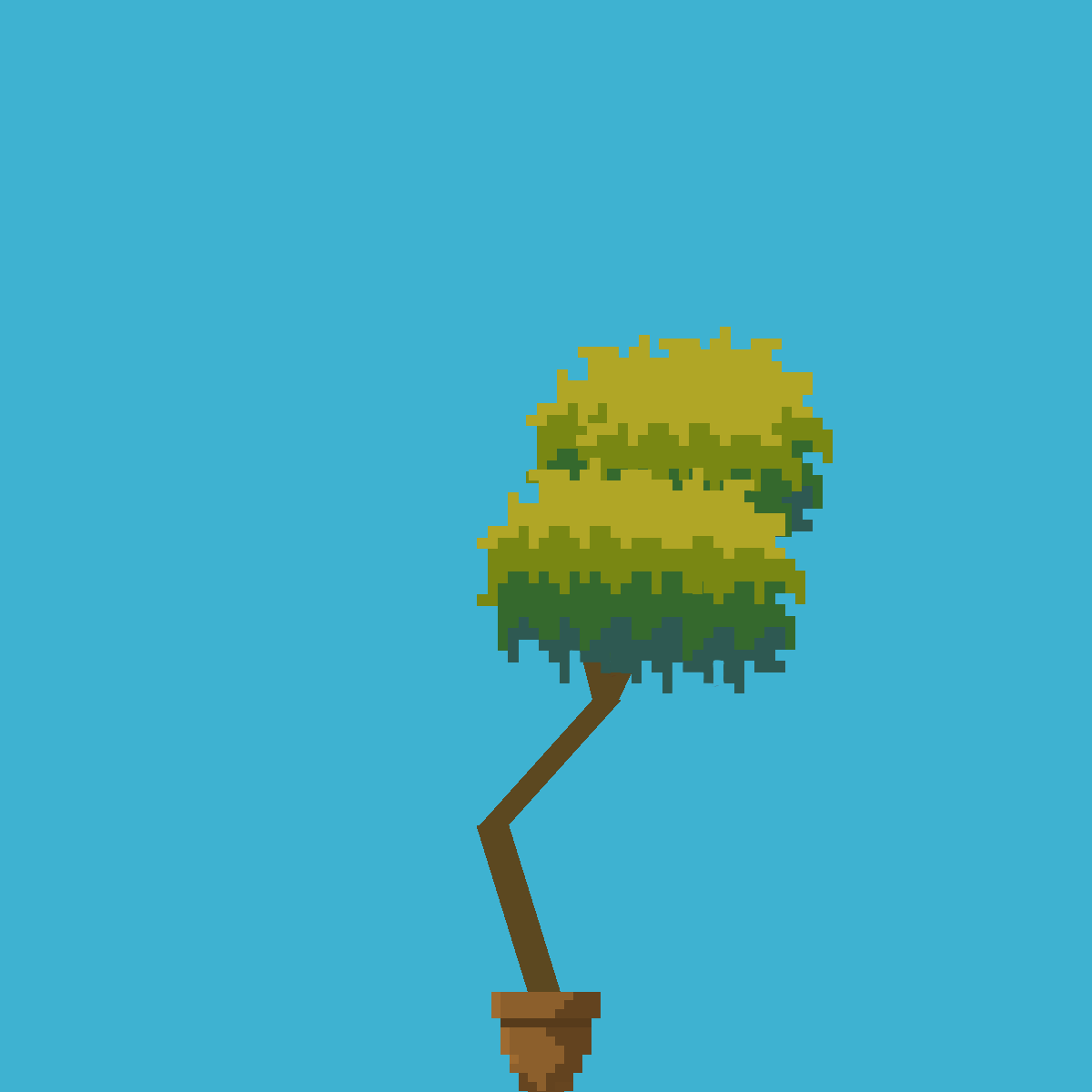 CommunityPlant's tweet image. #plant #tree #gardening #python
