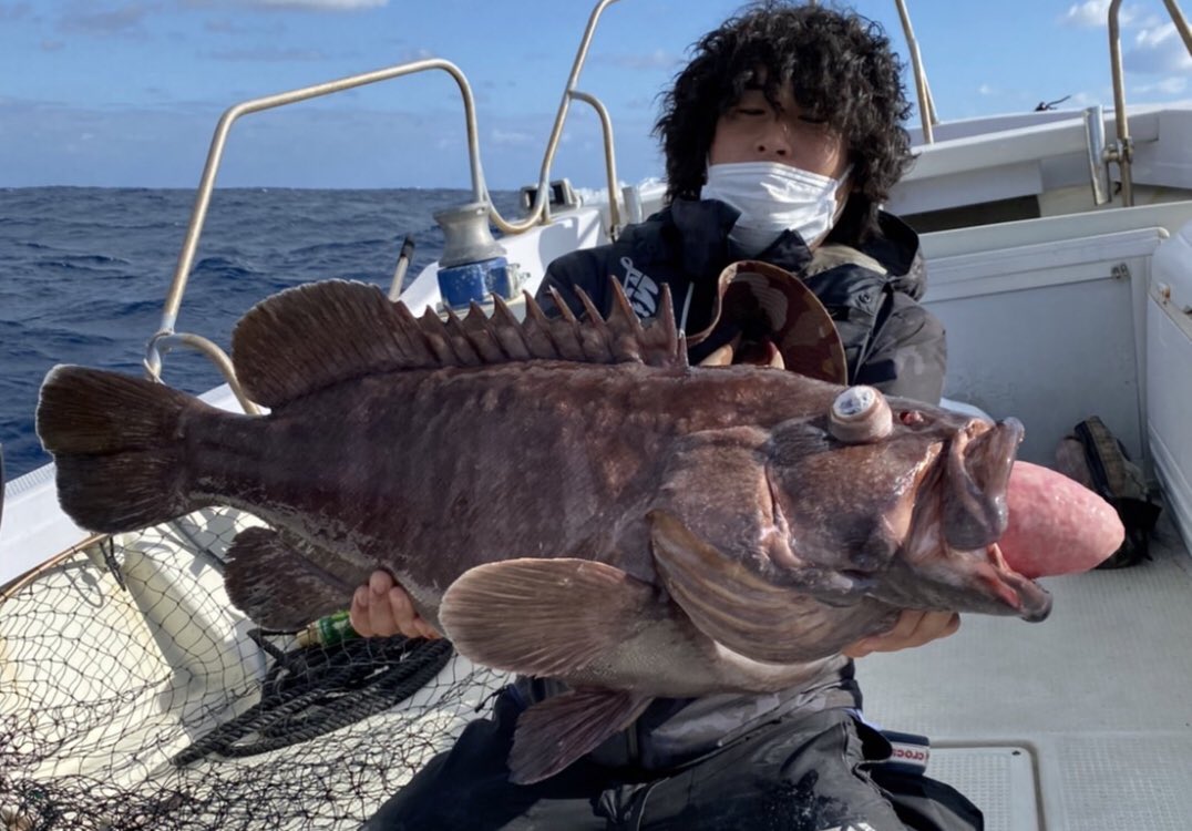 hirahiroro's tweet photo. なお、今回の番組への協力でいただいたギャラも次の深海魚調査に全ぶっこみしました！もうすっからかんです！
ギャンブルで身を持ち崩す人たちの気持ちが分かる気がしてきました https://t.co/U0Jm0TI6HV