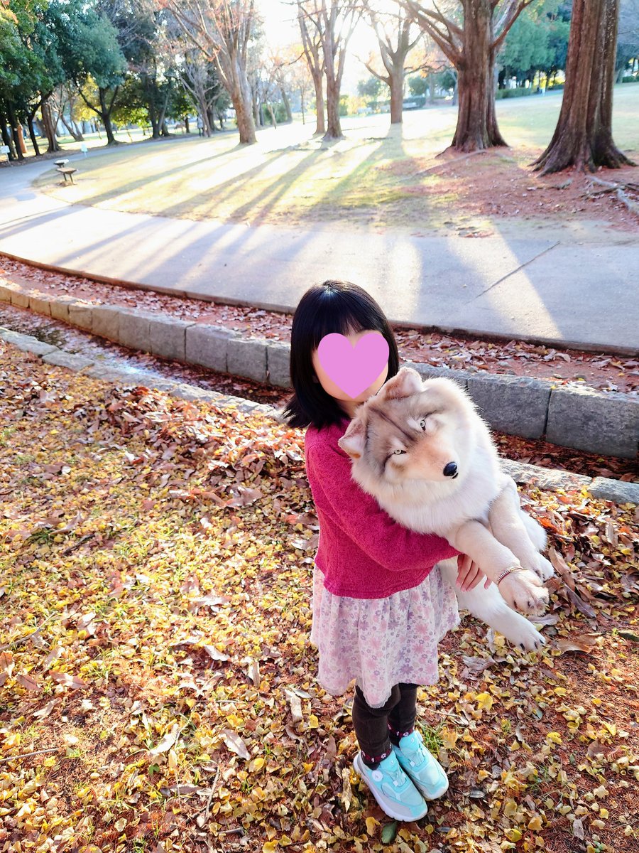 Reg_lay__wolf's tweet image. #2021年年末に今年まだ出会ってない素敵な作品に出会うタグ

フェイクファーで作ったオオカミたち💖
#plushie #wolfplush #fakefur #wolf #handmadeplush #artdoll #brooch  #wolfbag #アートドール #ぬいぐるみ