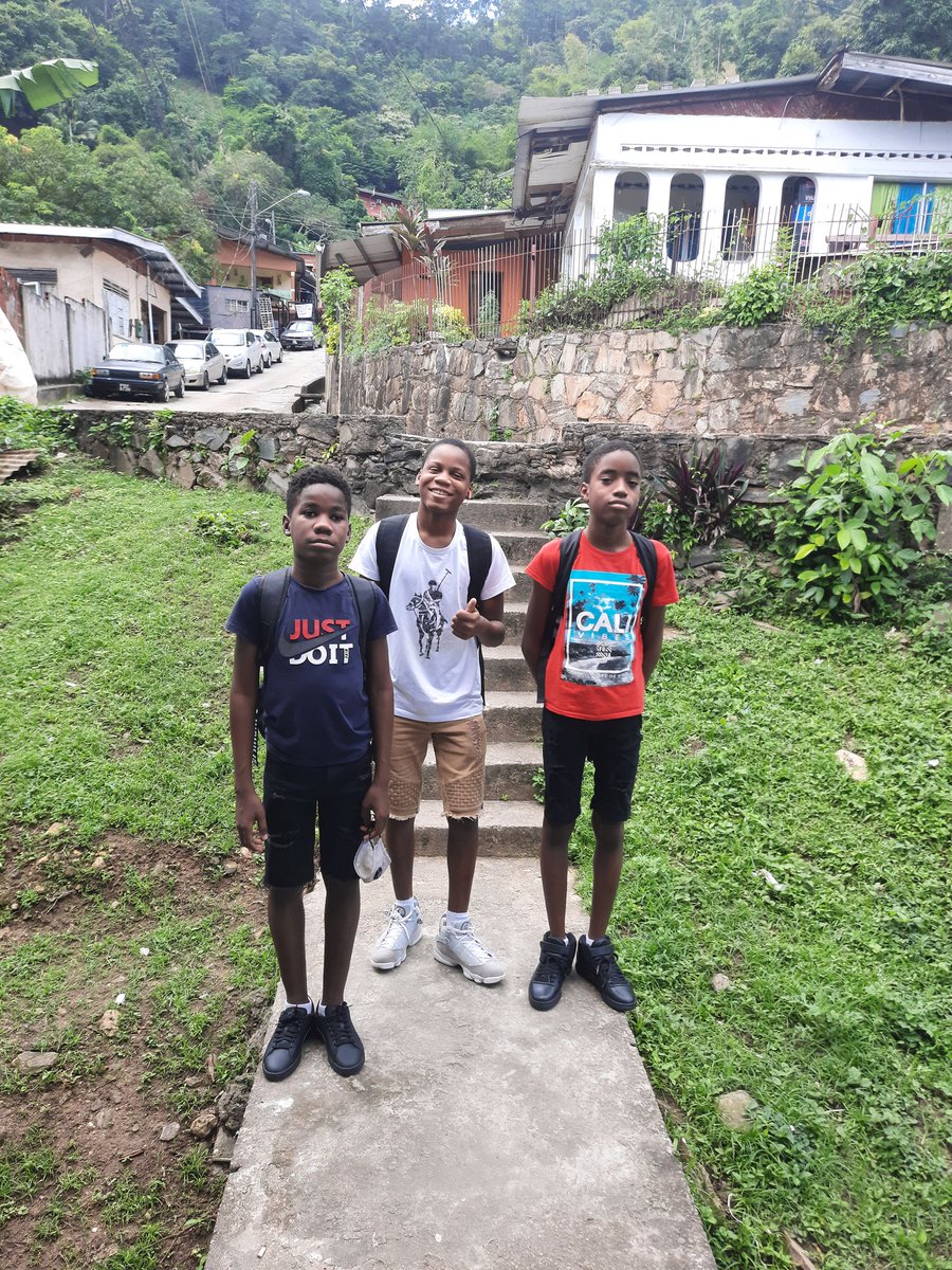 figaro_anika's tweet photo. My babies https://t.co/bYBZ0qFLnL