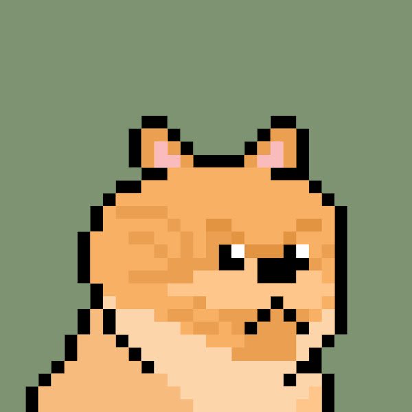 BitDoggos tweet media