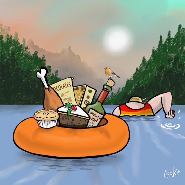 Just a small snack <a href="/cookie_cartoons/">Cookie Cartoonery</a> #festiveseason #swimming #swimtime #holidayseason #Christmas