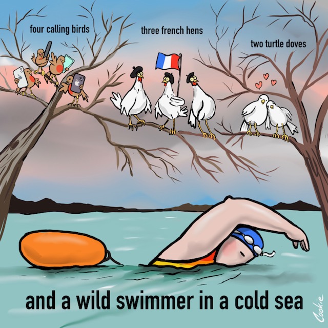 Festive season <a href="/cookie_cartoons/">Cookie Cartoonery</a> 
#openwater #swim #holidayseason #swimtime #swimmer #swimming