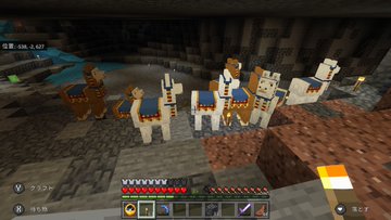 マイクラスイッチ版が重い原因は空き容量が足りません 改善にはsdカードが必要 リンの日記