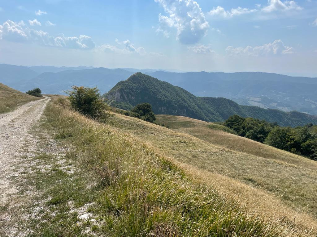 simosyd's tweet image. Respirar, para sentir mejor. #Petrano