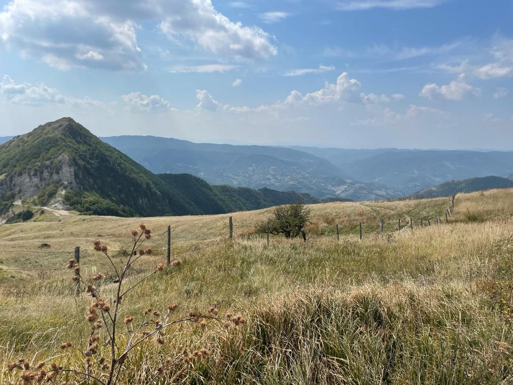 simosyd's tweet image. Respirar, para sentir mejor. #Petrano