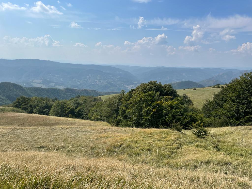 simosyd's tweet image. Respirar, para sentir mejor. #Petrano