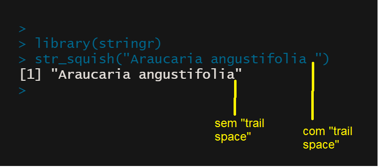 pe_hi's tweet photo. #DicaR: Espaços residuais (trail spaces) podem ser uma fonte de erro. Para resolver esse problema, pode ser utilizado o pacote stringr e a função str_squish. #rlang #rstats https://t.co/2mfSFgXplC