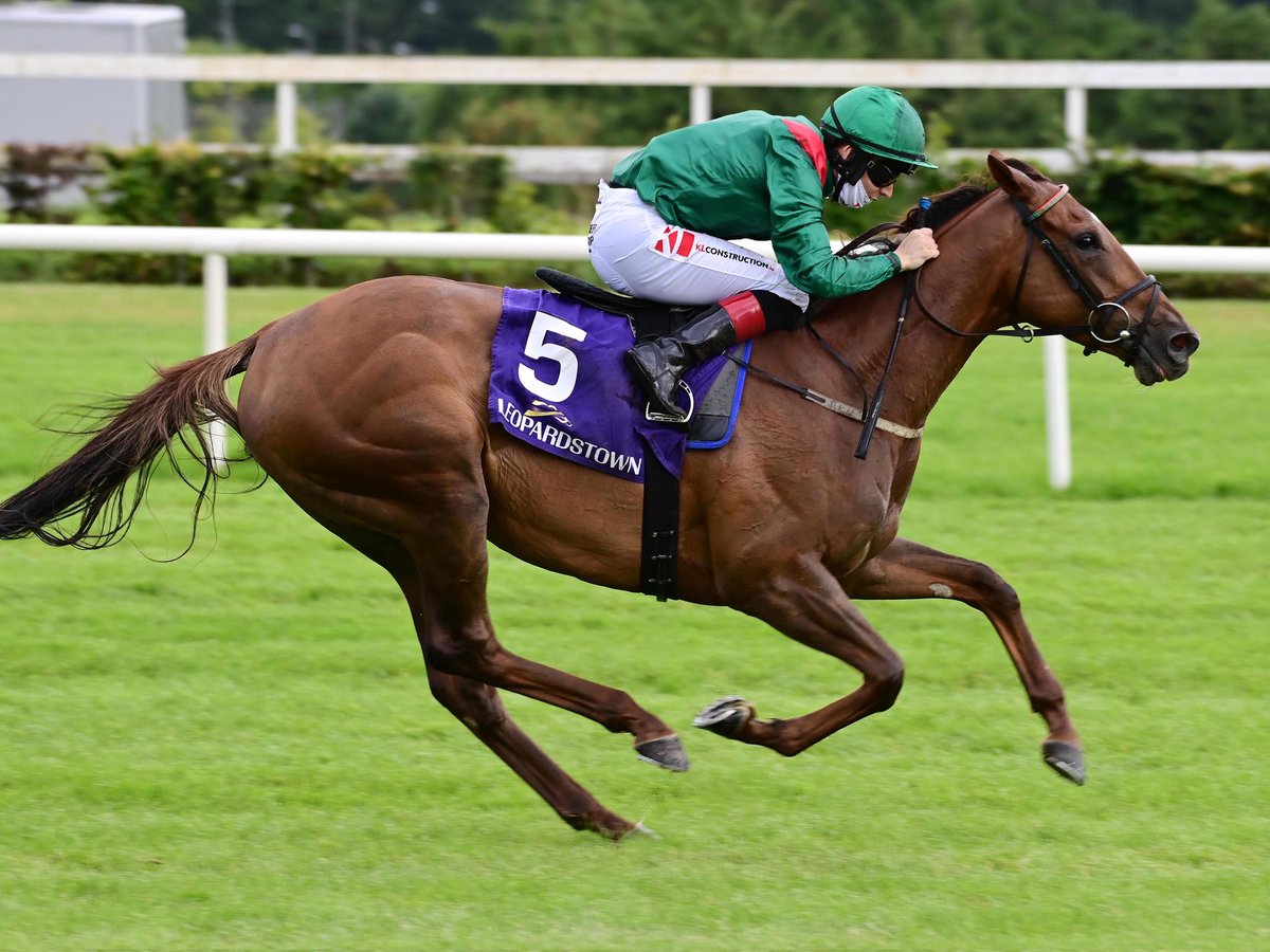betting on the breeders cup 2022 betting on the breeders cup 2022
