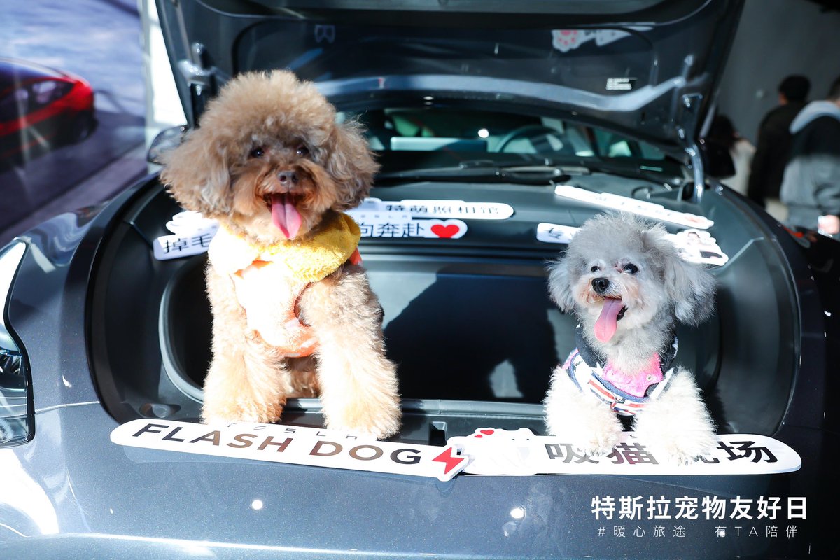 Tesla_Asia's tweet photo. The best day ever for the best pet ever. 🐈🐕 https://t.co/ubrUeCYq7X
