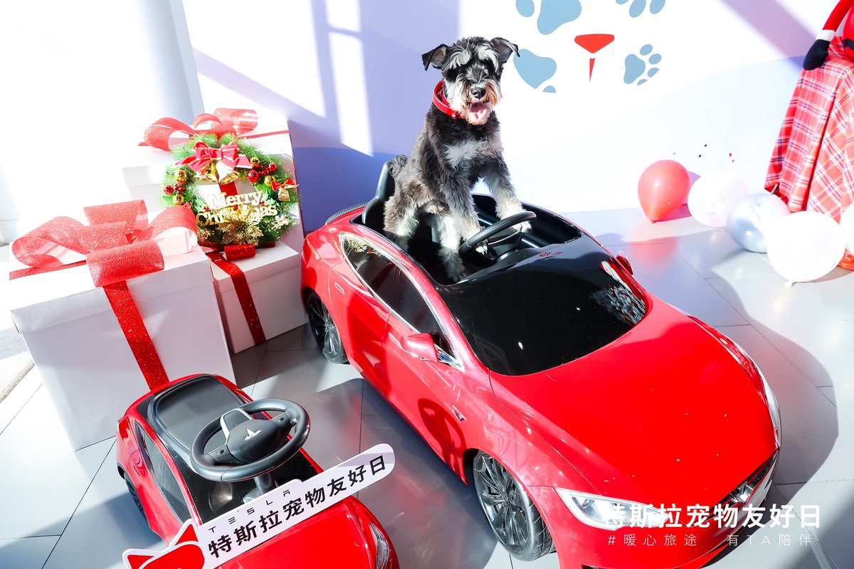 Tesla_Asia's tweet photo. The best day ever for the best pet ever. 🐈🐕 https://t.co/ubrUeCYq7X