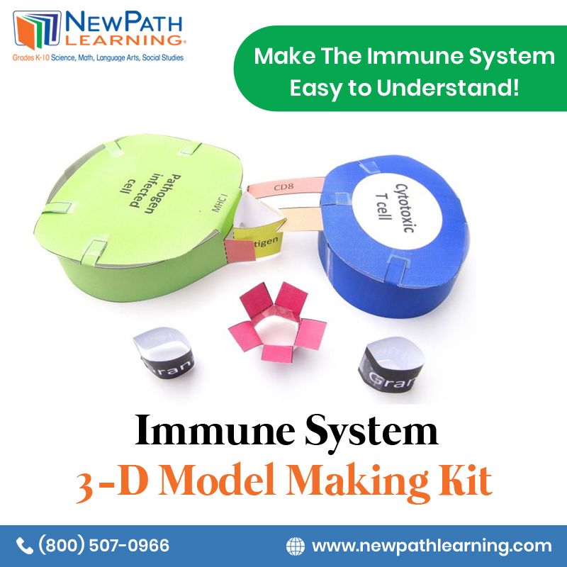 NewPathLearning's tweet photo. Make the immune system easy to understand using NewPath learning’s Immune System 3-D Model Making Kit. This innovative model gives students an understanding of the cellular interactions of the immune system. https://t.co/EhC0tSaFEc
#NewPathLearning #3DModelMakingKit #ImmuneSystem https://t.co/ZG6uKLtybi