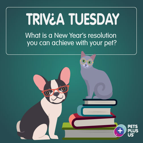 PetsPlusUsIns's tweet photo. #Win a $25 PetSmart gift card! To enter, answer the question, retweet this post and follow @PetsPlusUsIns by 11:59PM EST. Open to Canadian &amp; US residents (excluding QC). This contest is not sponsored, endorsed, administered by or associated with Twitter.
https://t.co/TZtoEyxPCD https://t.co/olWi1jH5Jf