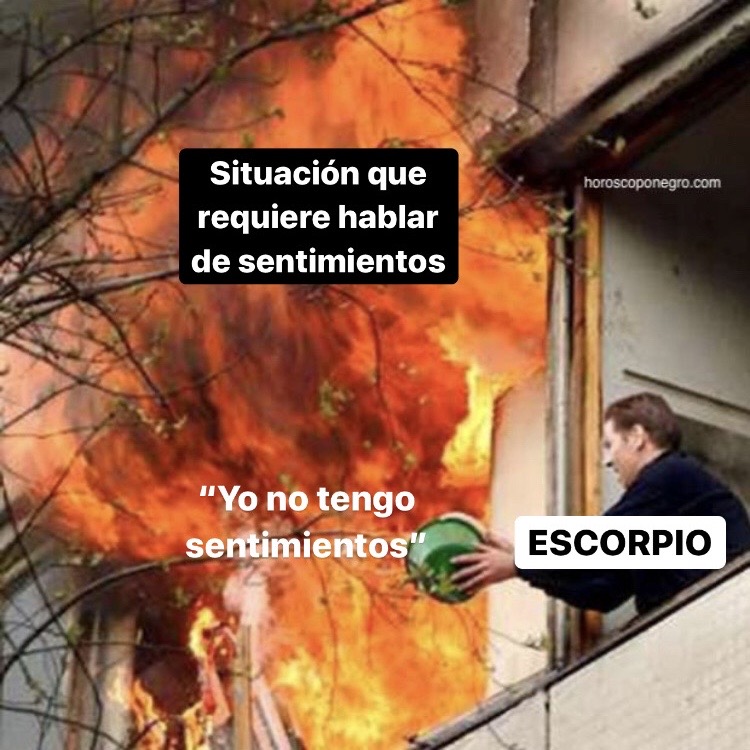 La cruda realidad 🤣 #escorpio #horoscoponegro