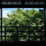 旅するママ(Chocomama)のツイート画像
