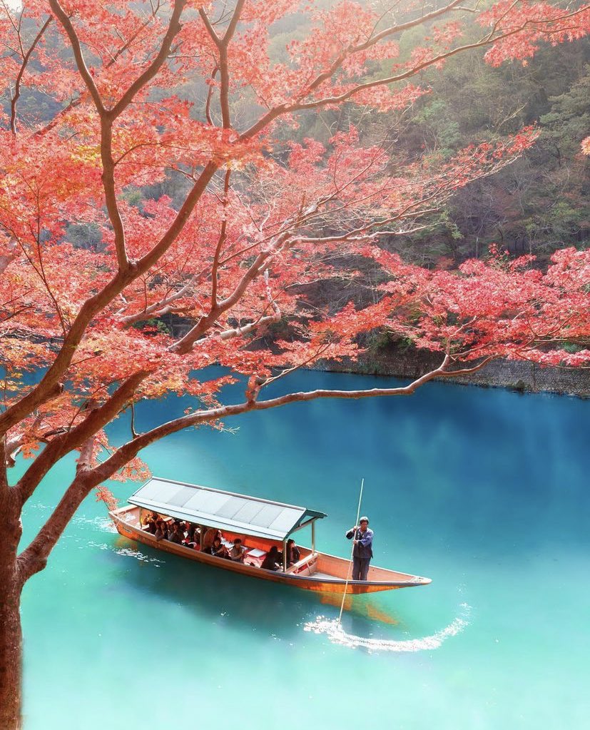 Autumn in Japan 🍂