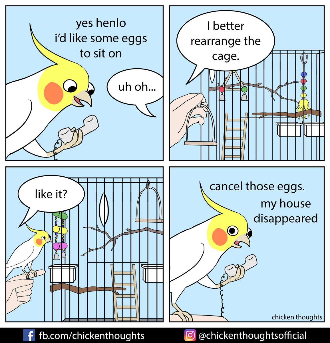 Chicken Thoughts (@chickythoughts) on Twitter photo 