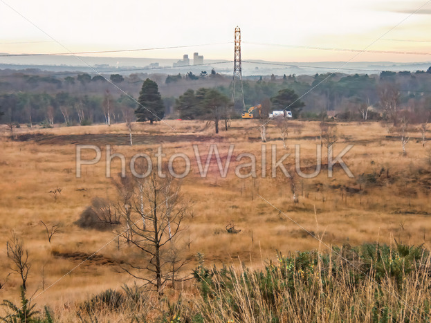Chobham common skyline view of Woking in Surrey in the Uk. Showing the expanse of common land in December  #beauty #chobham #chobhamcommon #chobhamsurrey #colorful #common #country #distant #england #english #environment #evergreen #fern #gorse #grass

photowalkuk.com/buy/microstock…