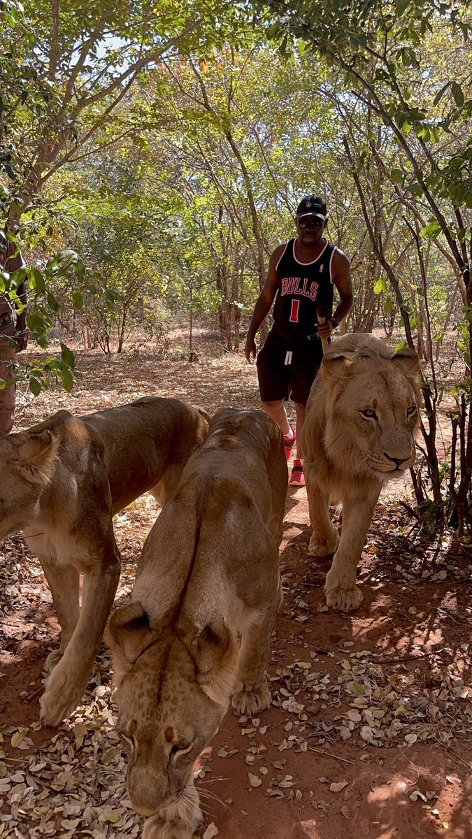 King George tweet media