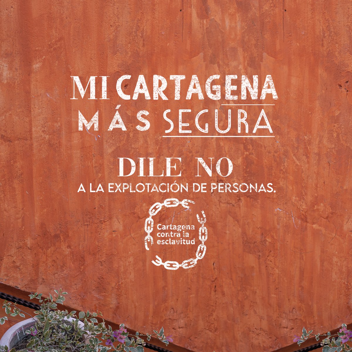 Turismo Cartagena De Indias tweet media