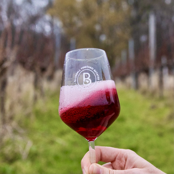 We would like to raise a glass to all our customers, guests, partners and of course our diligent team. We are so grateful to have such an amazingly loyal environment to build from. #bestservedchilled #merlotwine #merlot🍷 #merlotme #merlotplus #merlot代購 #sparklingwines