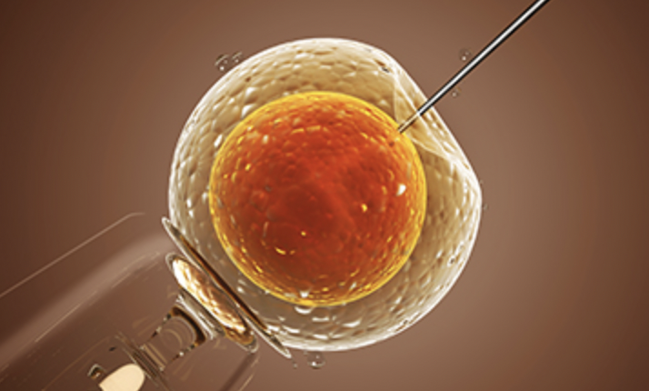 AdoptionandART's tweet photo. Assisted reproduction in 43 European countries - not for all:
https://t.co/TofC0cSTTE
#adoptionandart #adoptionartattorneys
https://t.co/Zyo60BAaXv
https://t.co/9gl9BwtoAN
https://t.co/AJ9whNAvgI
https://t.co/xVNVU37iOY https://t.co/J2pex3tE3S