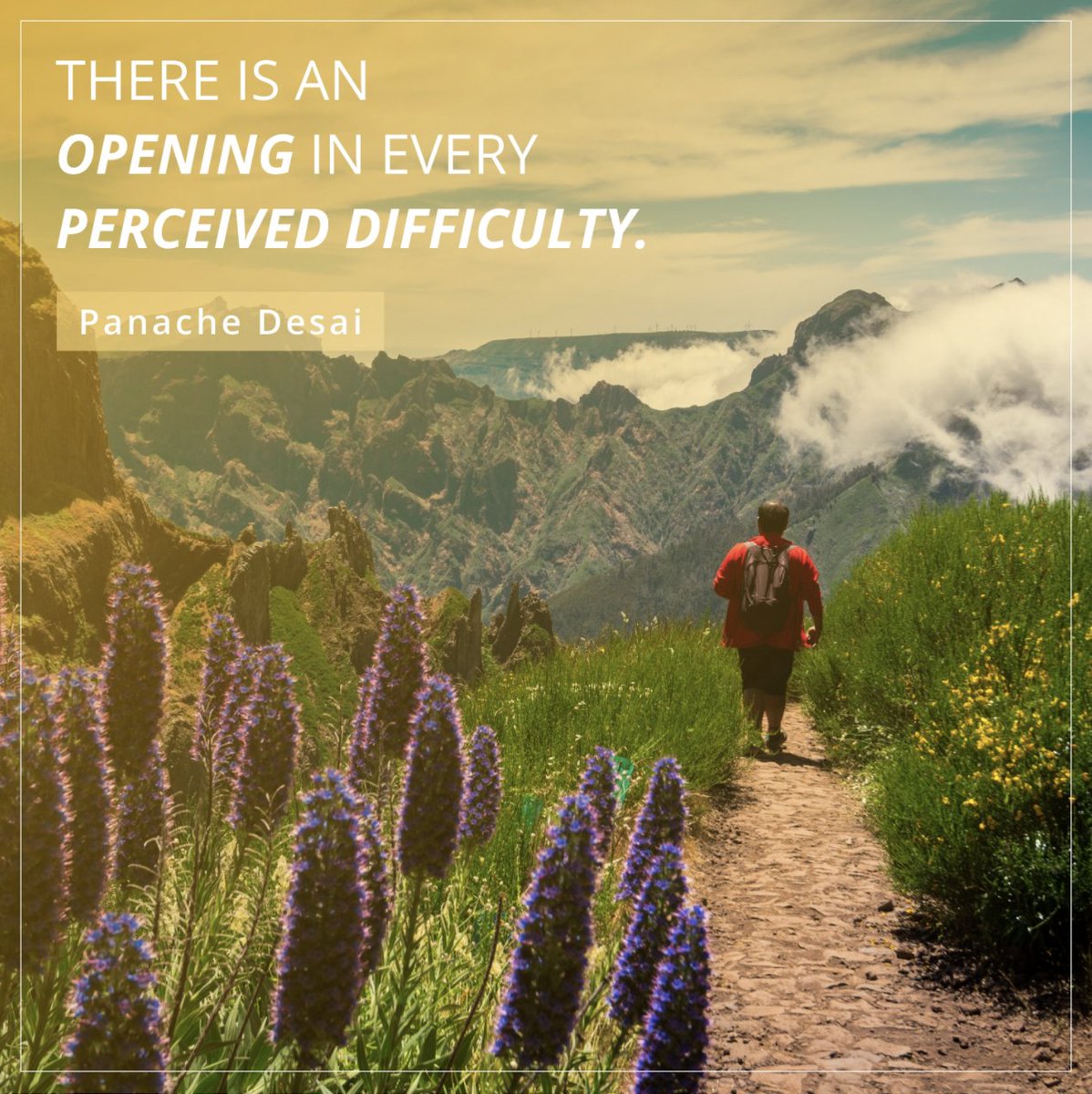PanacheDesai's tweet photo. Remember, no experience in life, however painful, is ever wasted 🙏
Tag a friend in the comments who needs this reminder👇❤️
-
.
.
#panachedesai #meditation #livemeditation #onlinemeditation #mindfulness #freemeditations #wisdom #awakening #limitless https://t.co/FrSK3G8KNb
