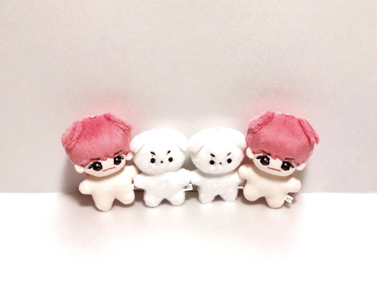 withbugie's tweet photo. #김종현 #JR #김종현솜뭉치

너무 귀여운 새가족이 와써욥⁽̨̡ ¨̮ ⁾̧̢.•♡
귀여운 등딱지까지 헤헤헷ꉂ( ᵔ̴̶̤᷄∇⃚⃘⃙̮ ᵔ̴̶̤᷅ )ｷ

#쩨꼼 #쩨롱 #솜뭉치 https://t.co/tvGkLiY66y