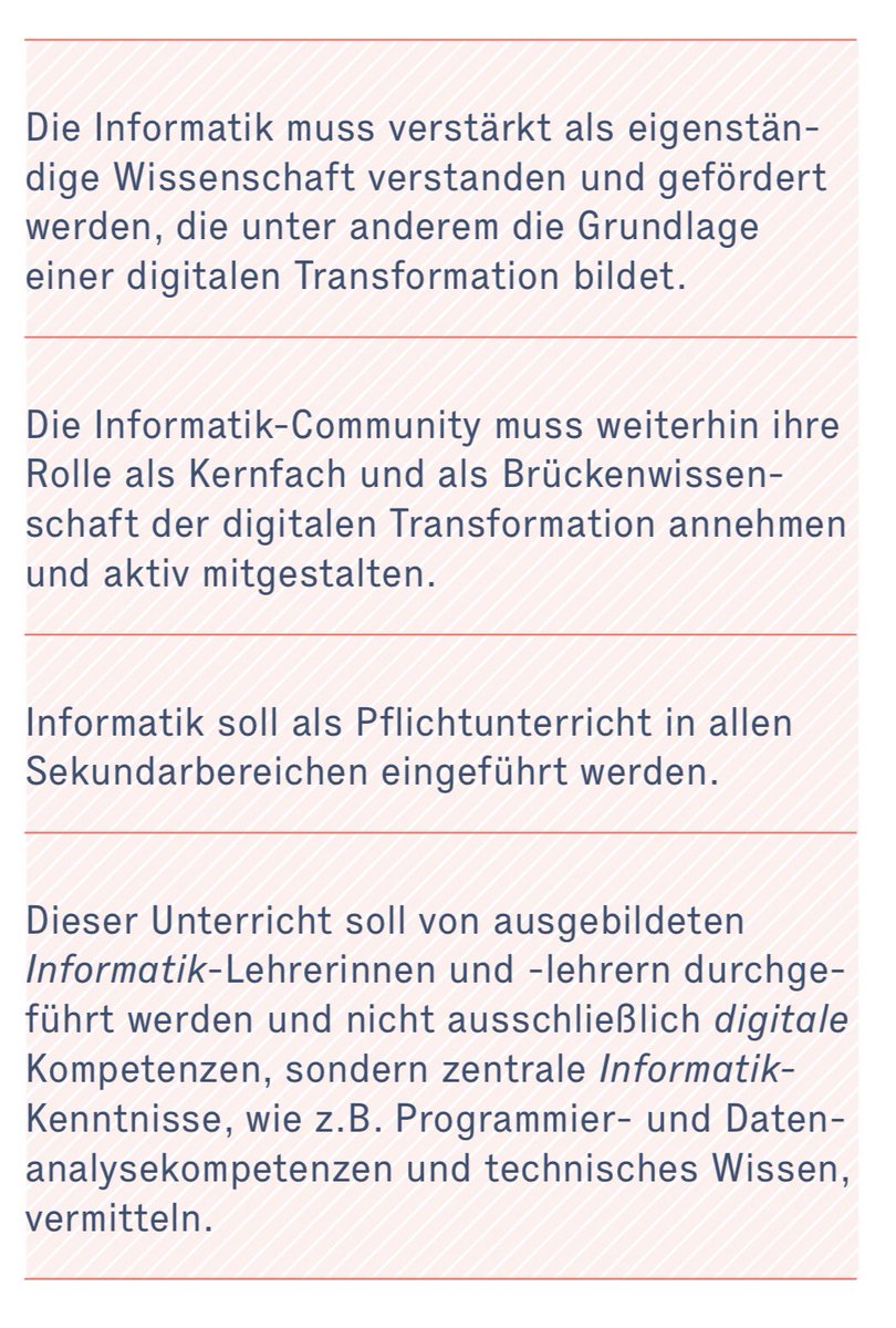 programmier studium
