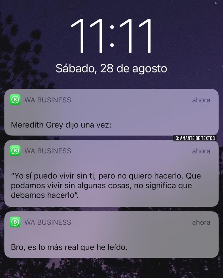 E S C R I T O S (@escritosdealex) on Twitter photo 