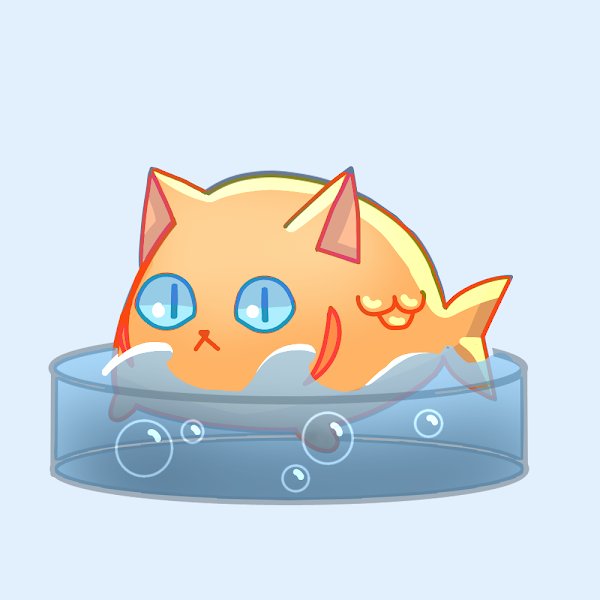 StrayCatsOnly's tweet photo. @gemNFTholder @PUNCHIO_K_NFT https://t.co/6vo2jjghME https://t.co/seKQVCnEU5