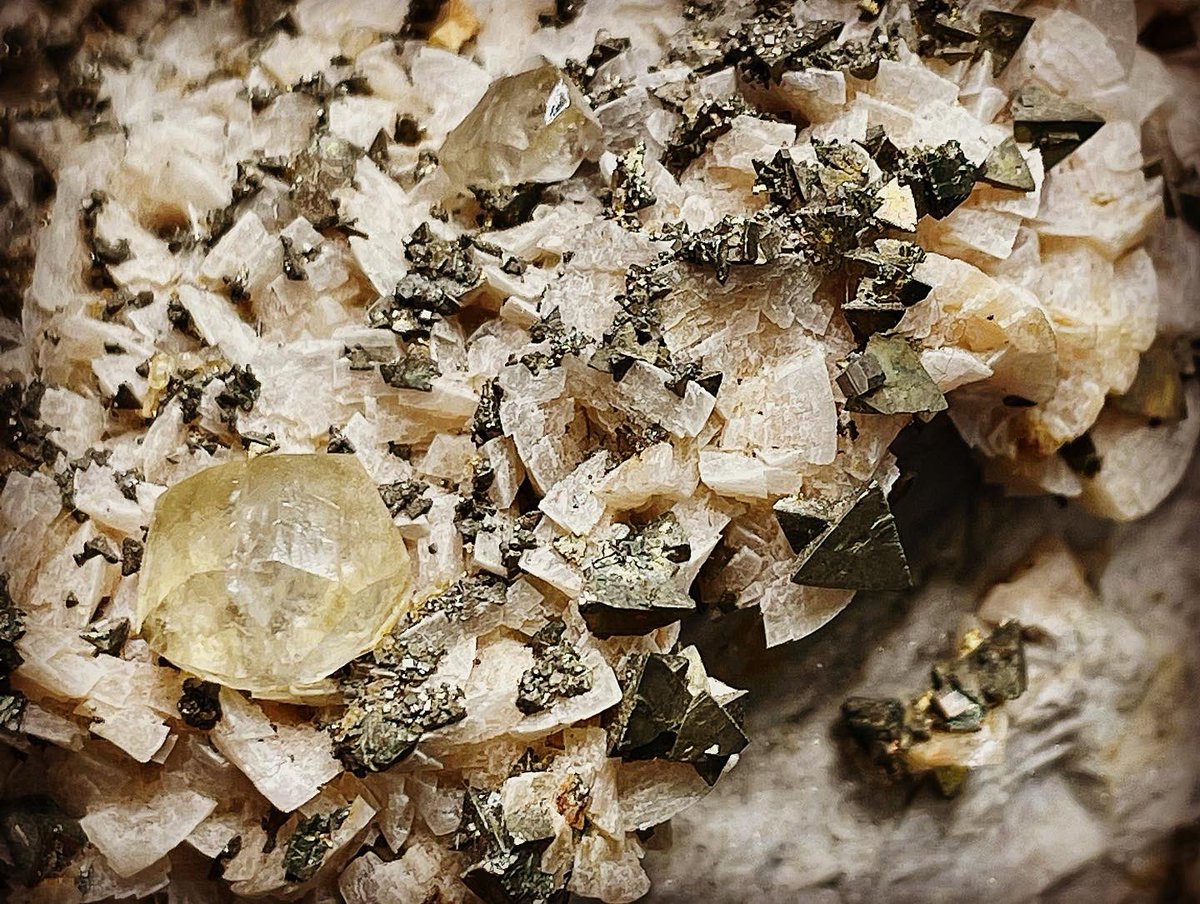 Weis Earth Science Museum tweet media