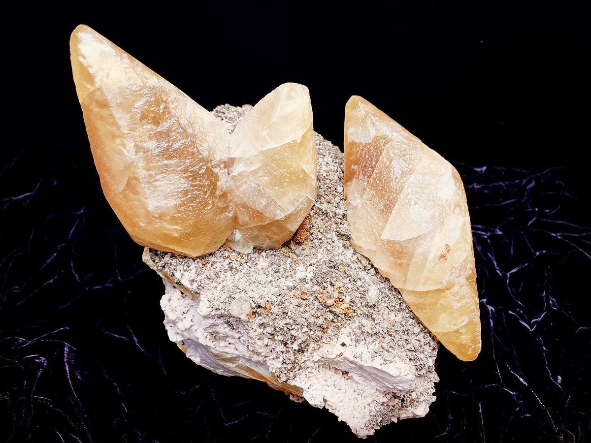 Weis Earth Science Museum tweet media