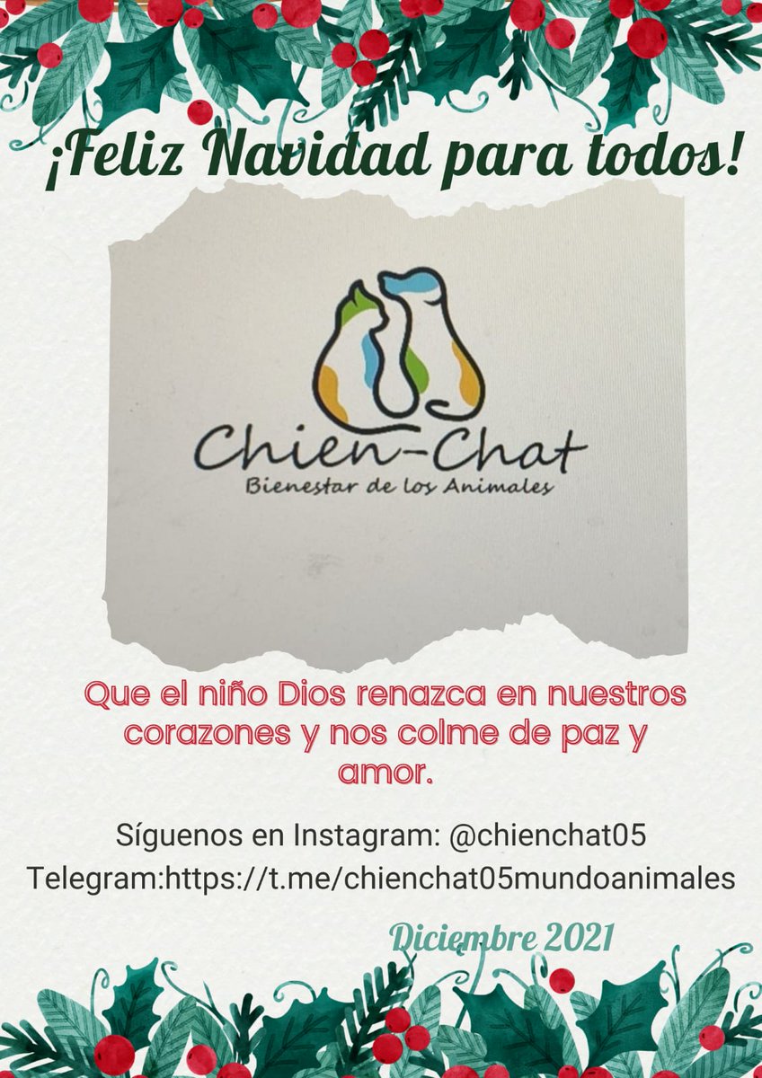 CHIENCHAT05's tweet photo. HOLA A TOD@S,@CHIENCHAT05 LE DA LA BIENVENIDA A ESTE MARAVILLOSO PROYECTO, CHIEN-CHAT BIENESTAR DE LOS ANIMALES Y SUS DUEÑOS QUEREMOS AYUDAR A LOS INDEFENSOS, ASI QUE TE INVITAMOS A QUE FORMES PARTE DEL EQUIPO DE LOS LIBERADORES. https://t.co/ZNIJf03z24