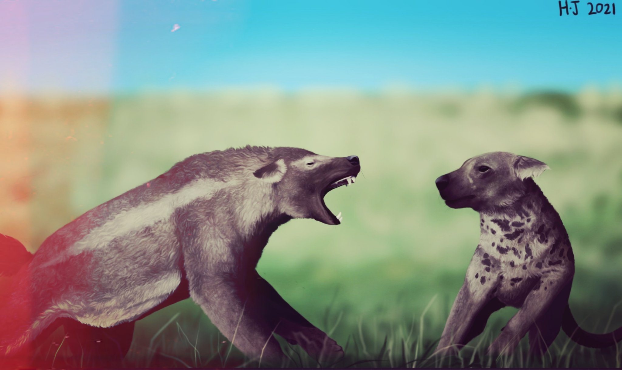 SYED حيدر (COMMISSIONS OPEN)\u200e on Twitter: "My entry for the agates contest.  "Bear vs Bear-dog" A not so peaceful interaction between Cephalogale (an  early bear, on the left) and a Daphoenodon. Agates