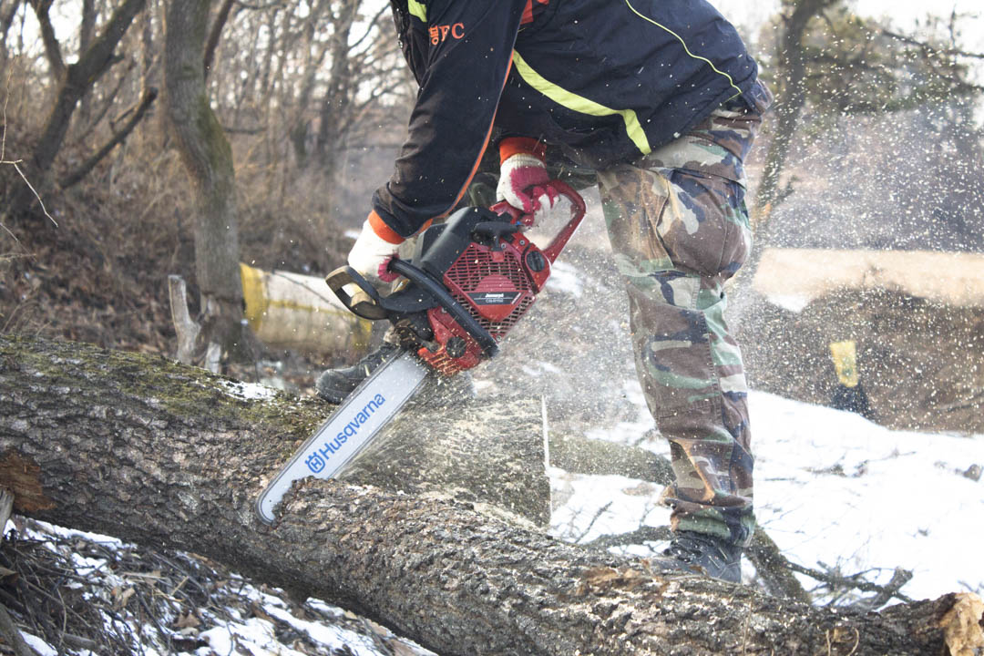 AffordableAn's tweet photo. An Affordable Tree Service can remove any trees that need to be cleared out, covering everything from stump grinding to complete extraction. #EmergencyTreeRemoval #TreeRemoval #StumpGrinding https://t.co/cPckEDzTgr https://t.co/SY4iXNl9RL