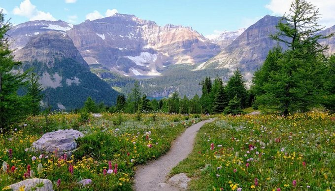 Travitinerary's tweet photo. Ten Popular Hikes in the Canadian Rockies via @GoatsOnTheRoad
https://t.co/pJlguzqNPE #Adventure #Canida #TravelCanada #Outdoors #Hiking https://t.co/yeJuRt3YXN