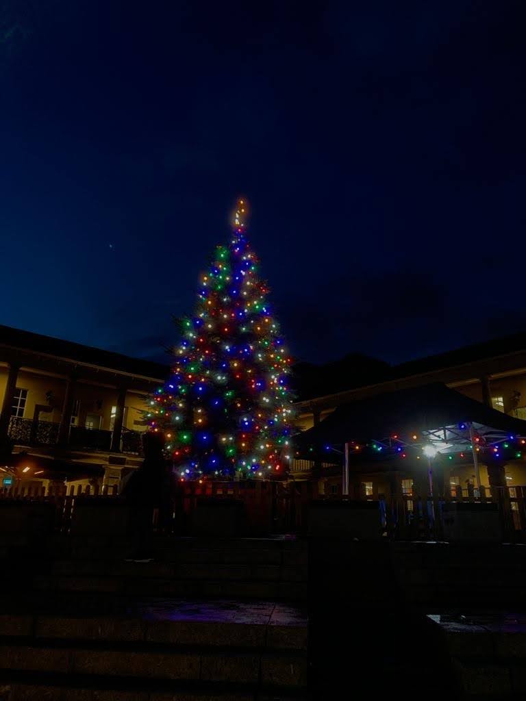 mdmacavity's tweet photo. #Christmas Market https://t.co/HIeeucfqHa
