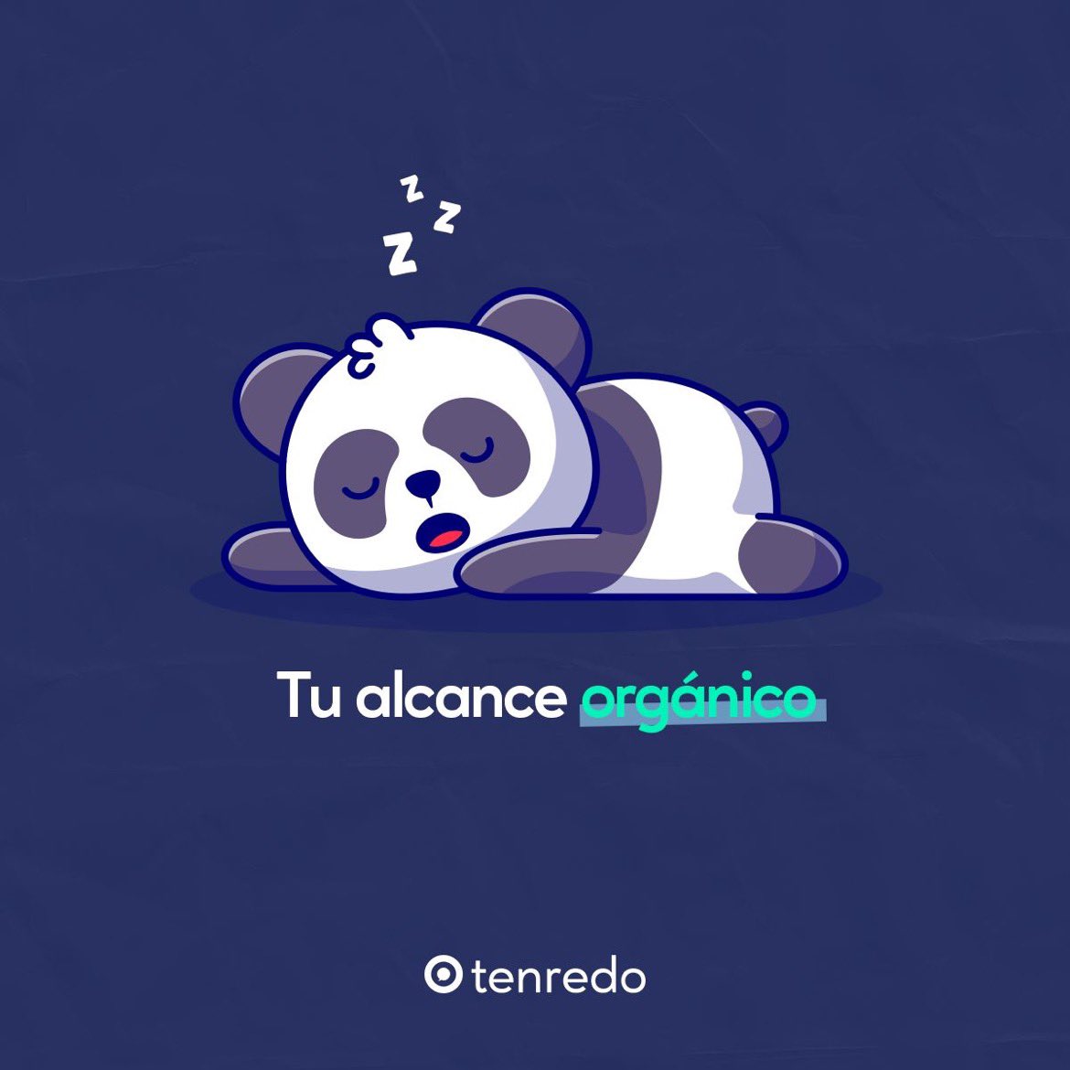 tenredo tweet media