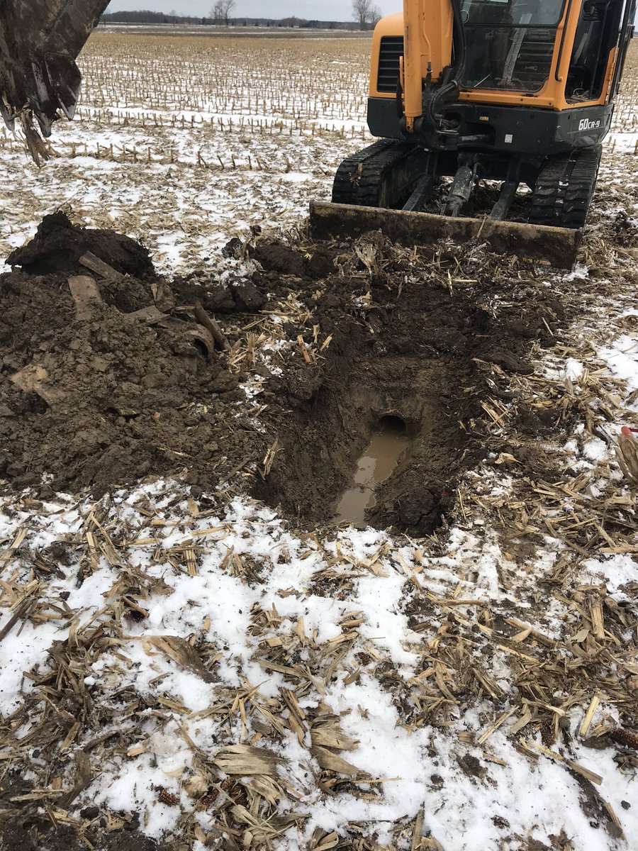 Old clay tiles...the gift that keeps on giving ...