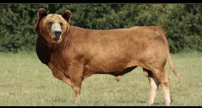 Ya şimdi bu ne sezonu?
#Bitcoin #altcoin